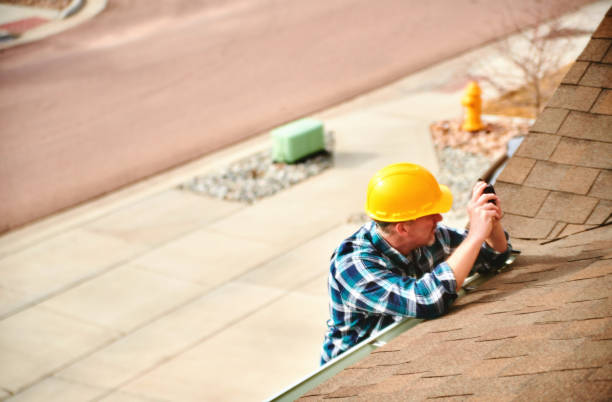 Best Roof Gutter Cleaning  in Dimmitt, TX